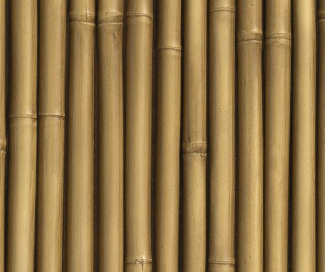 Drevo Bambu